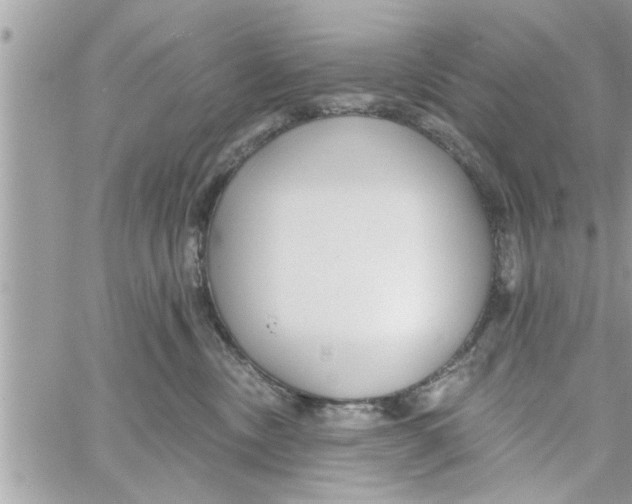 X0000058120378200510212026