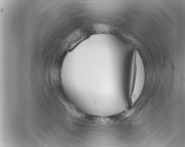 X0000058120379200510212026