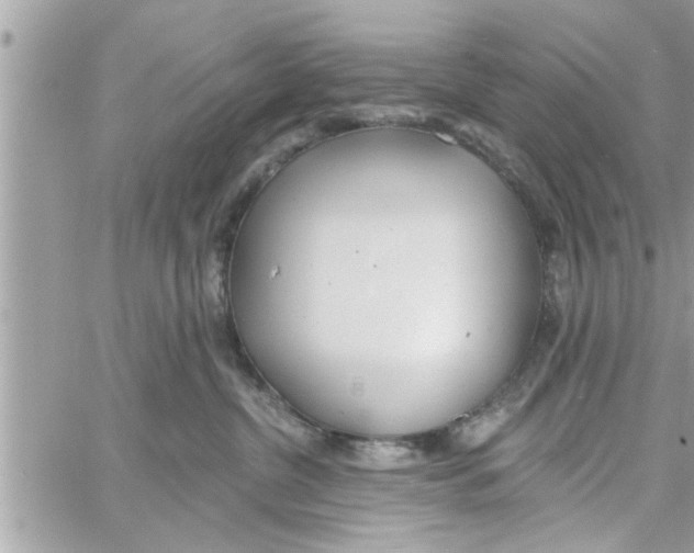 X0000058120380200510212026