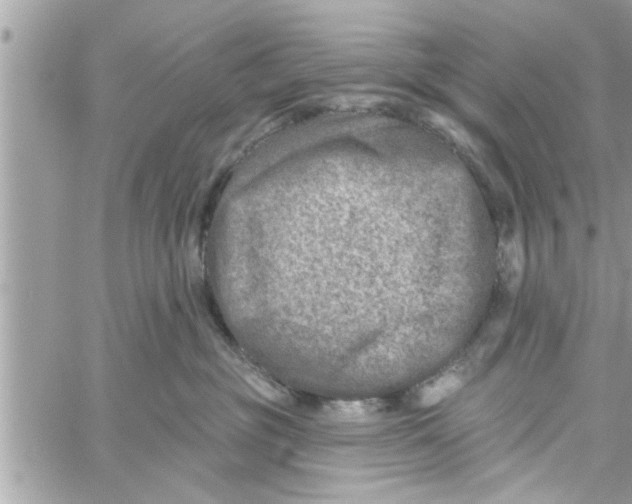 X0000058120381200510212027