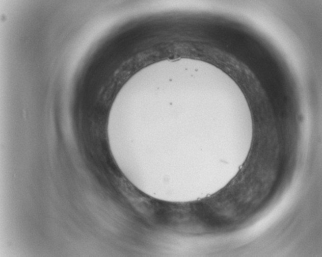 X0000058120382200510212027