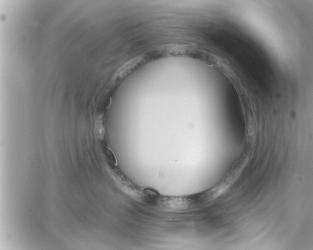 X0000058120383200510212027