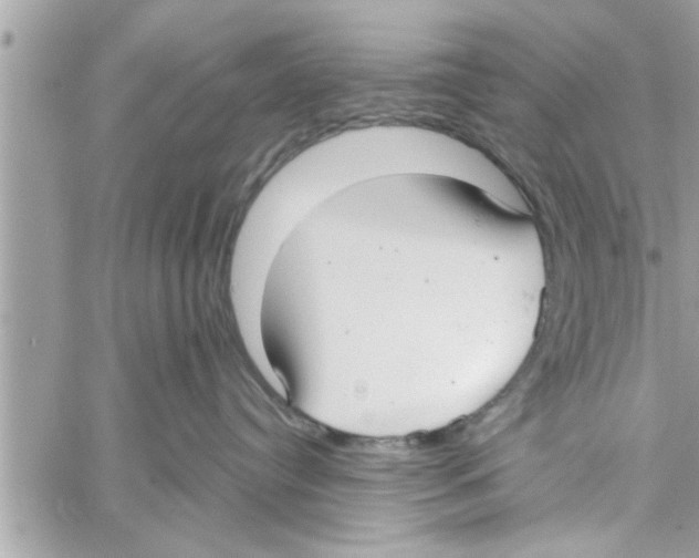 X0000058120384200510212027