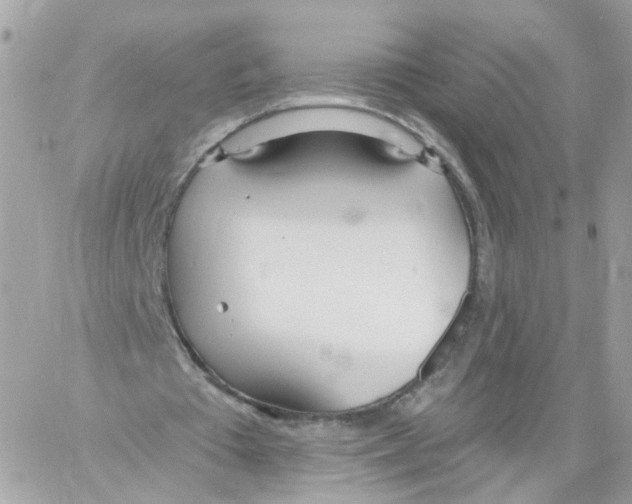 X0000058120385200510212026