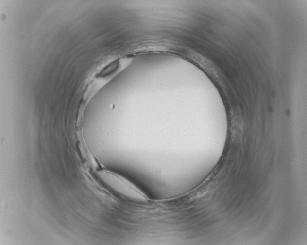 X0000058120386200510212026