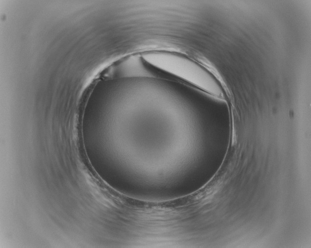 X0000058120387200510212026