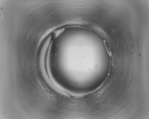 X0000058120388200510212026