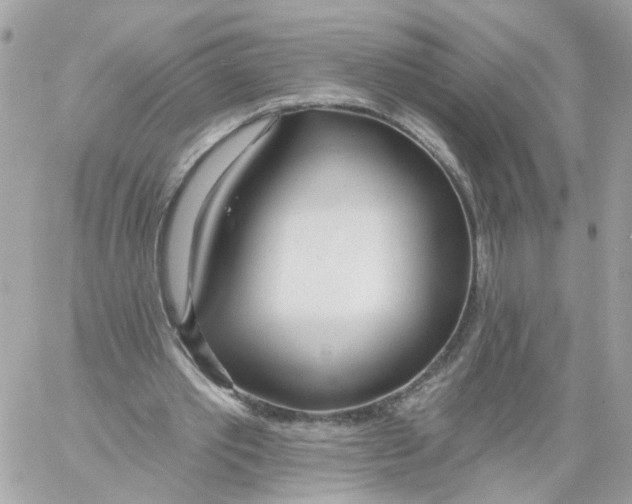 X0000058120389200510212026