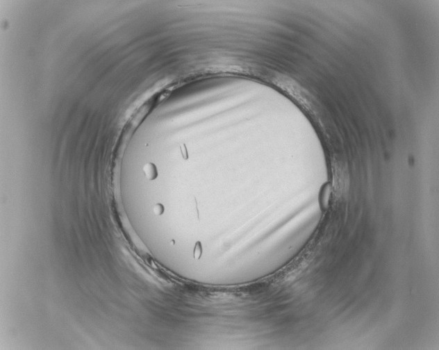 X0000058120390200510212026