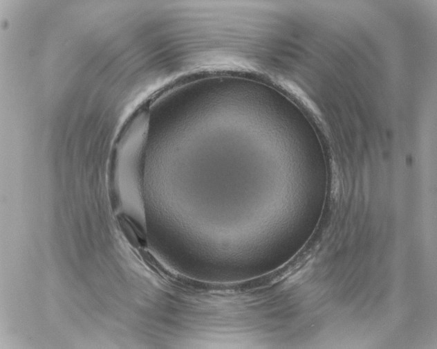 X0000058120391200510212026