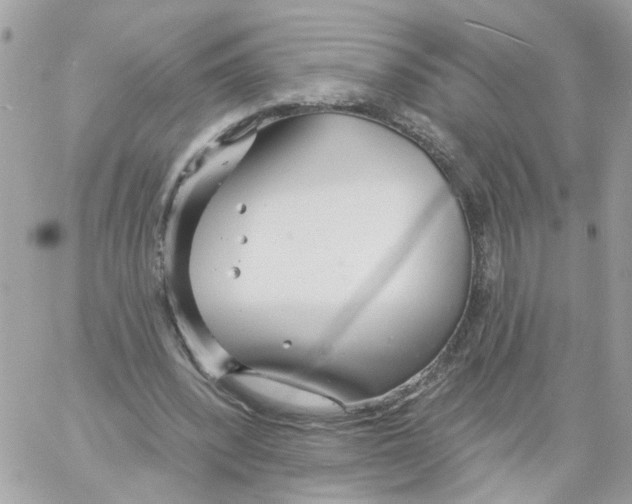 X0000058120392200510212026