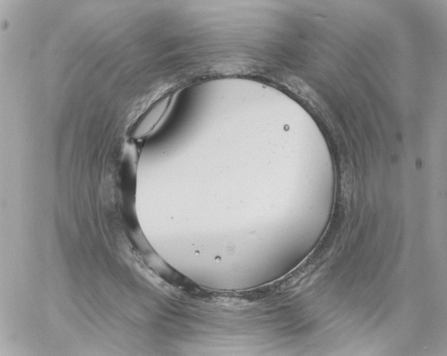 X0000058120393200510212026