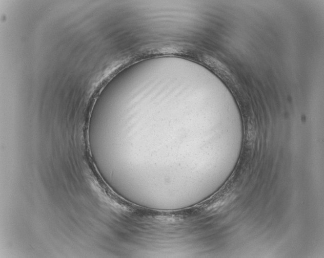 X0000058120394200510212026