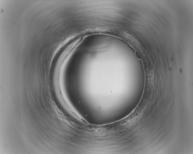 X0000058120395200510212026