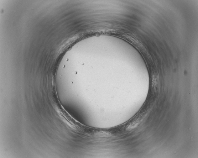 X0000058120397200510212026