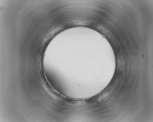 X0000058120398200510212026