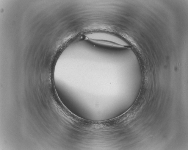 X0000058120399200510212026