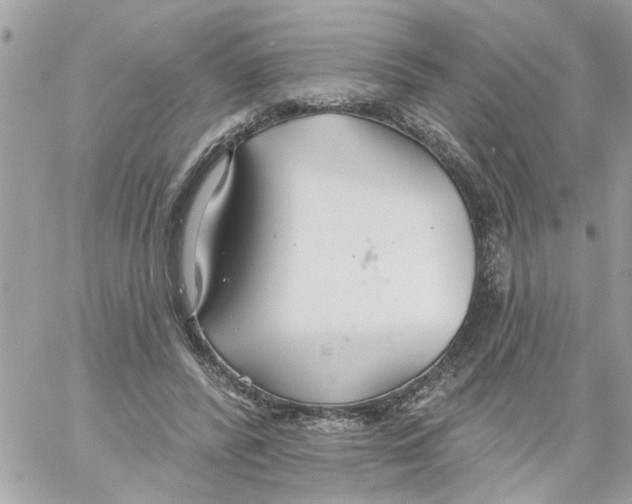 X0000058120400200510212026