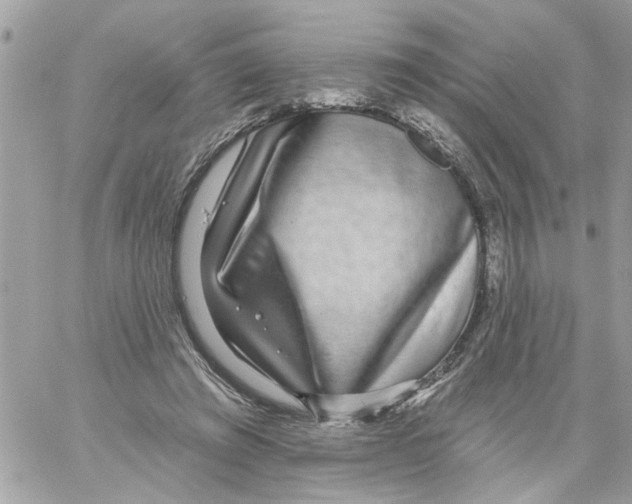 X0000058120401200510212025