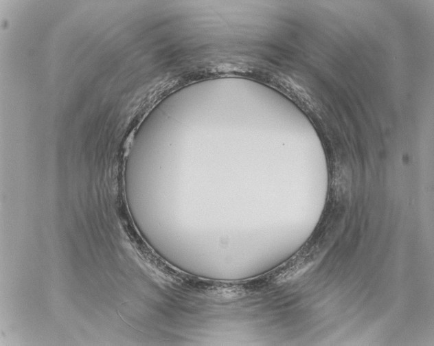 X0000058120402200510212025