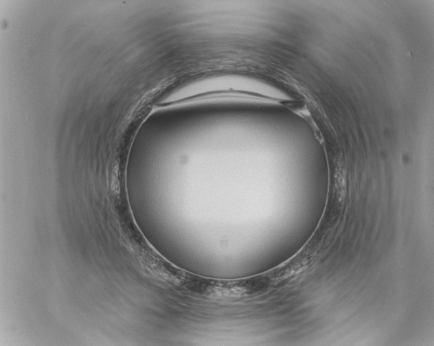 X0000058120403200510212025