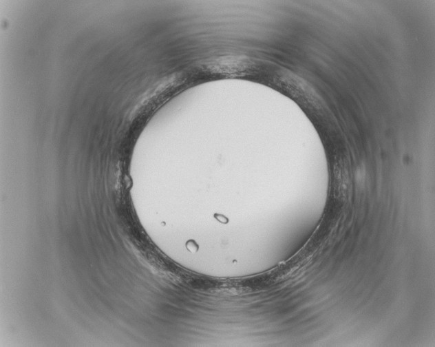 X0000058120404200510212025