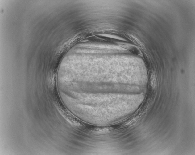 X0000058120405200510212025