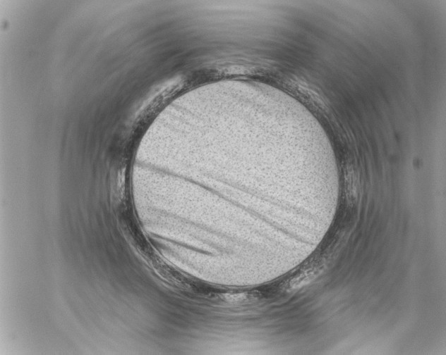 X0000058120406200510212025