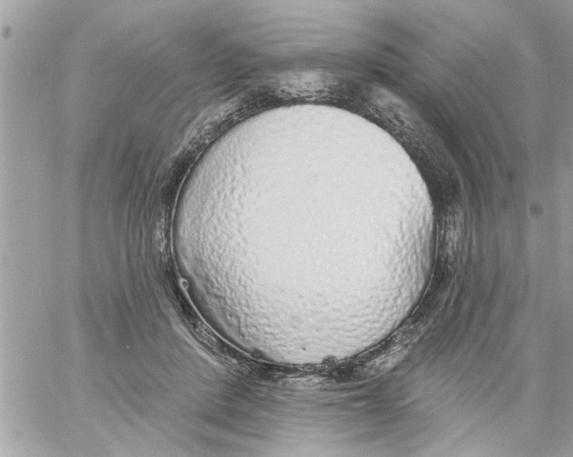 X0000058120408200510212025