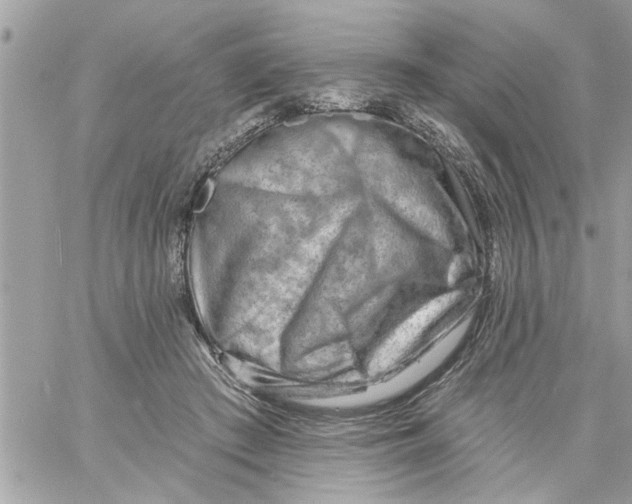 X0000058120409200510212025