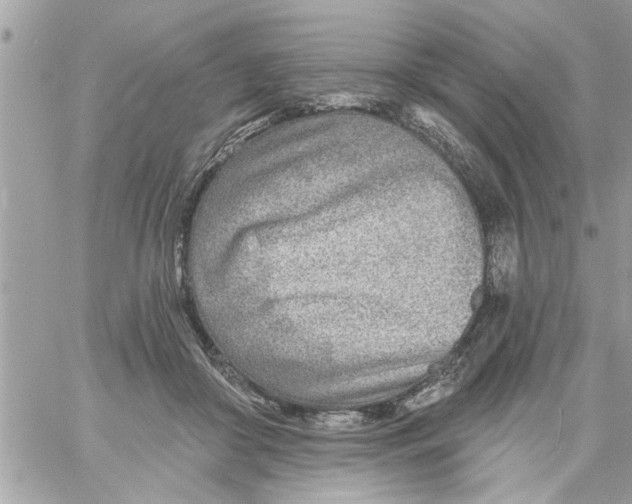 X0000058120410200510212025