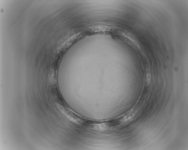 X0000058120411200510212025