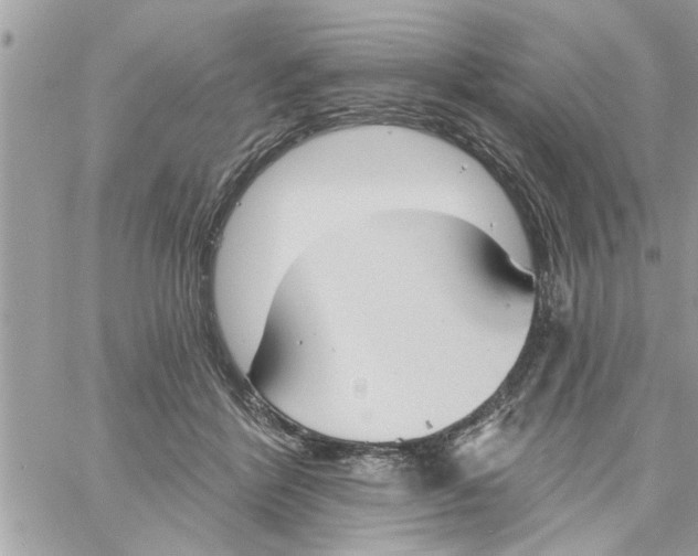 X0000058120412200510212025