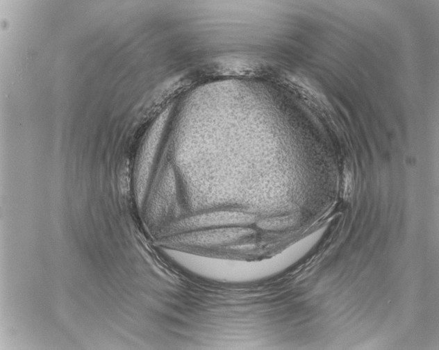 X0000058120413200510212025