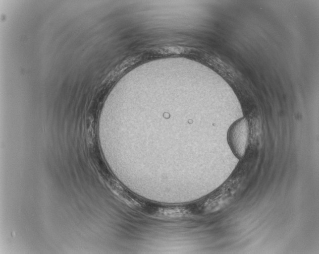 X0000058120414200510212025