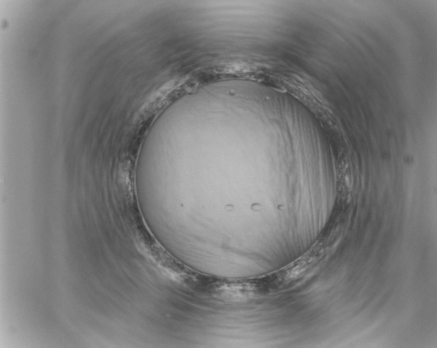 X0000058120415200510212025