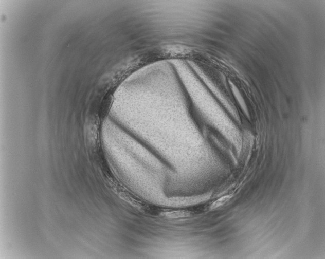 X0000058120417200510212025