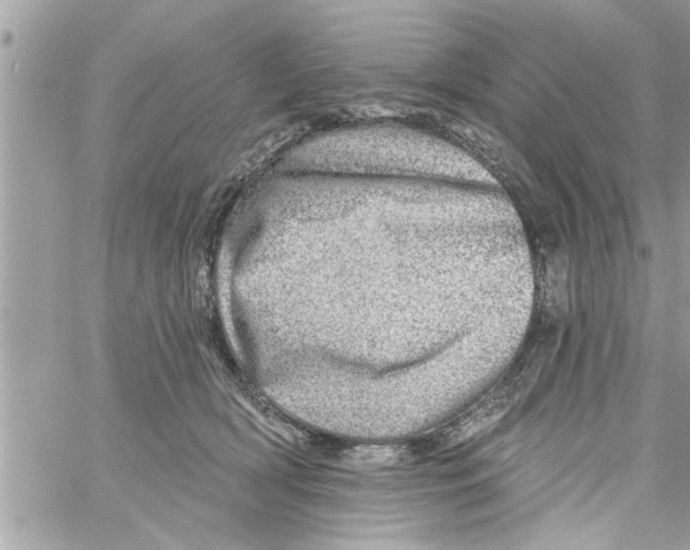 X0000058120418200510212025