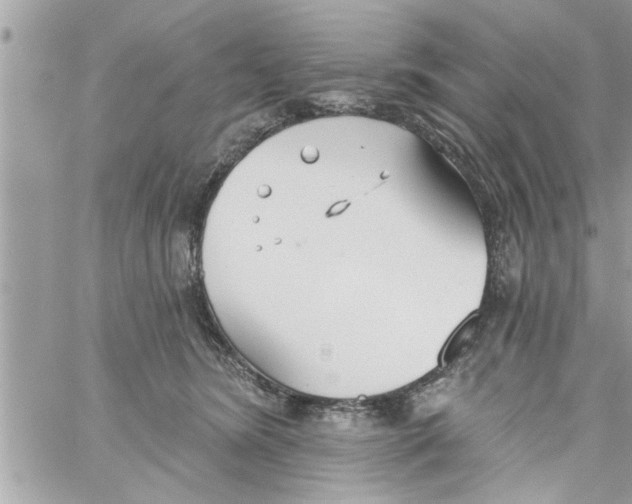 X0000058120420200510212025