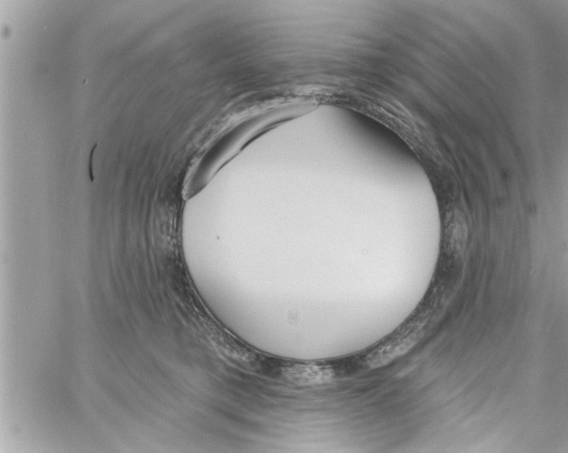 X0000058120421200510212025