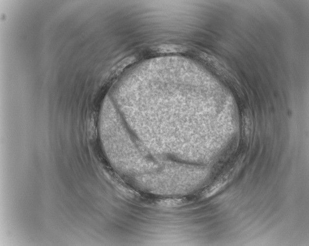 X0000058120422200510212025