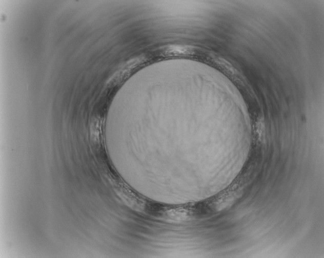 X0000058120423200510212025