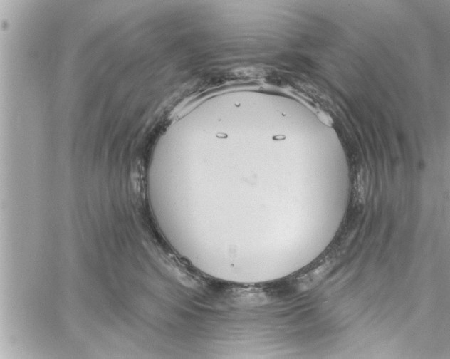 X0000058120424200510212025