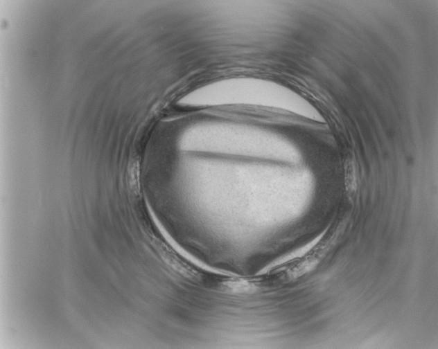 X0000058120425200510212025