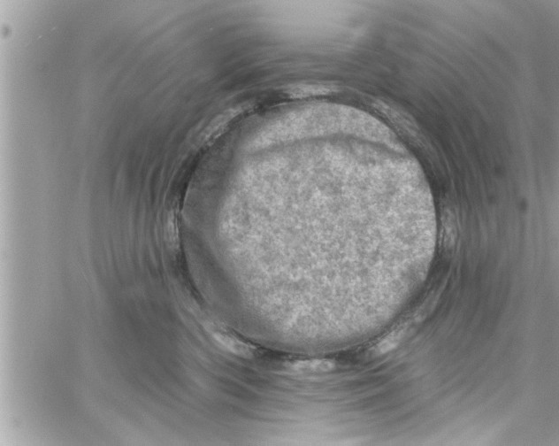 X0000058120426200510212025