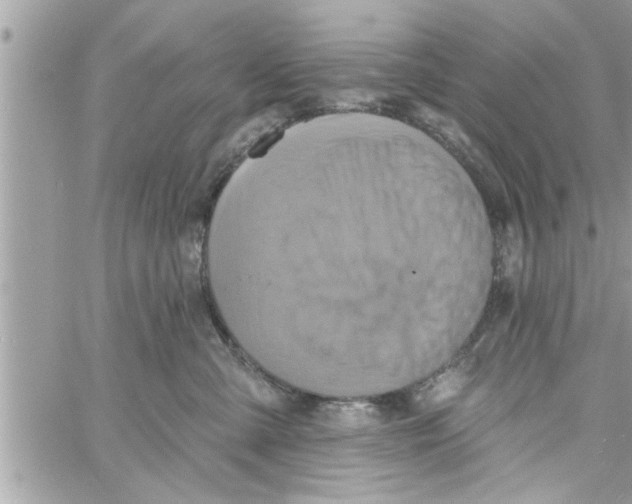 X0000058120427200510212025