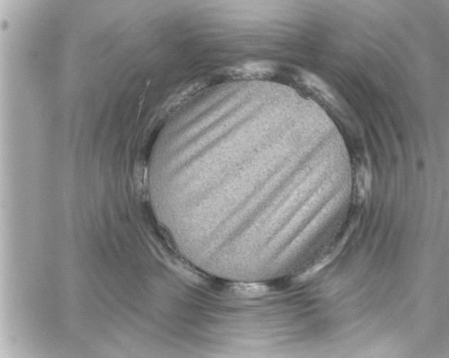 X0000058120429200510212025