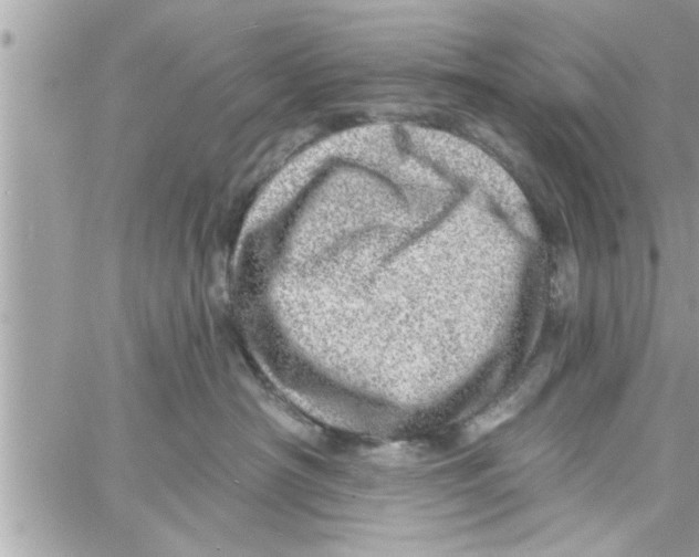 X0000058120430200510212025