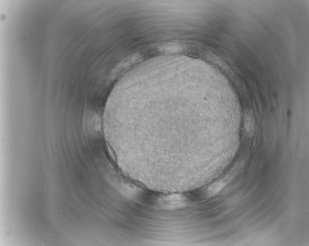 X0000058120431200510212025