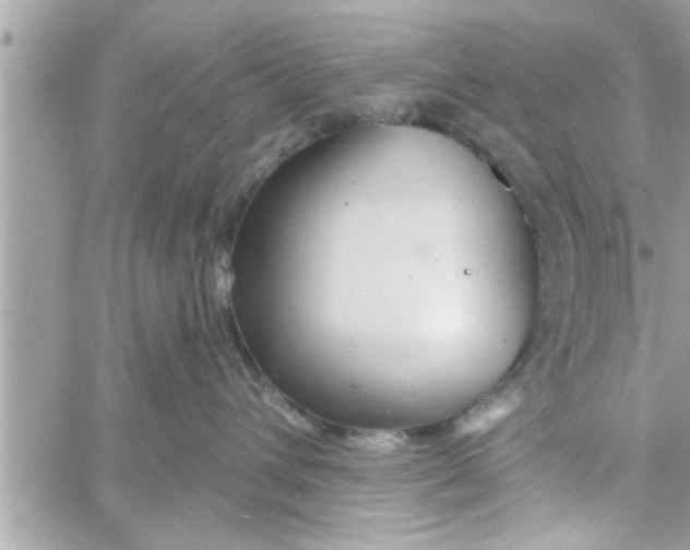 X0000058120432200510212025